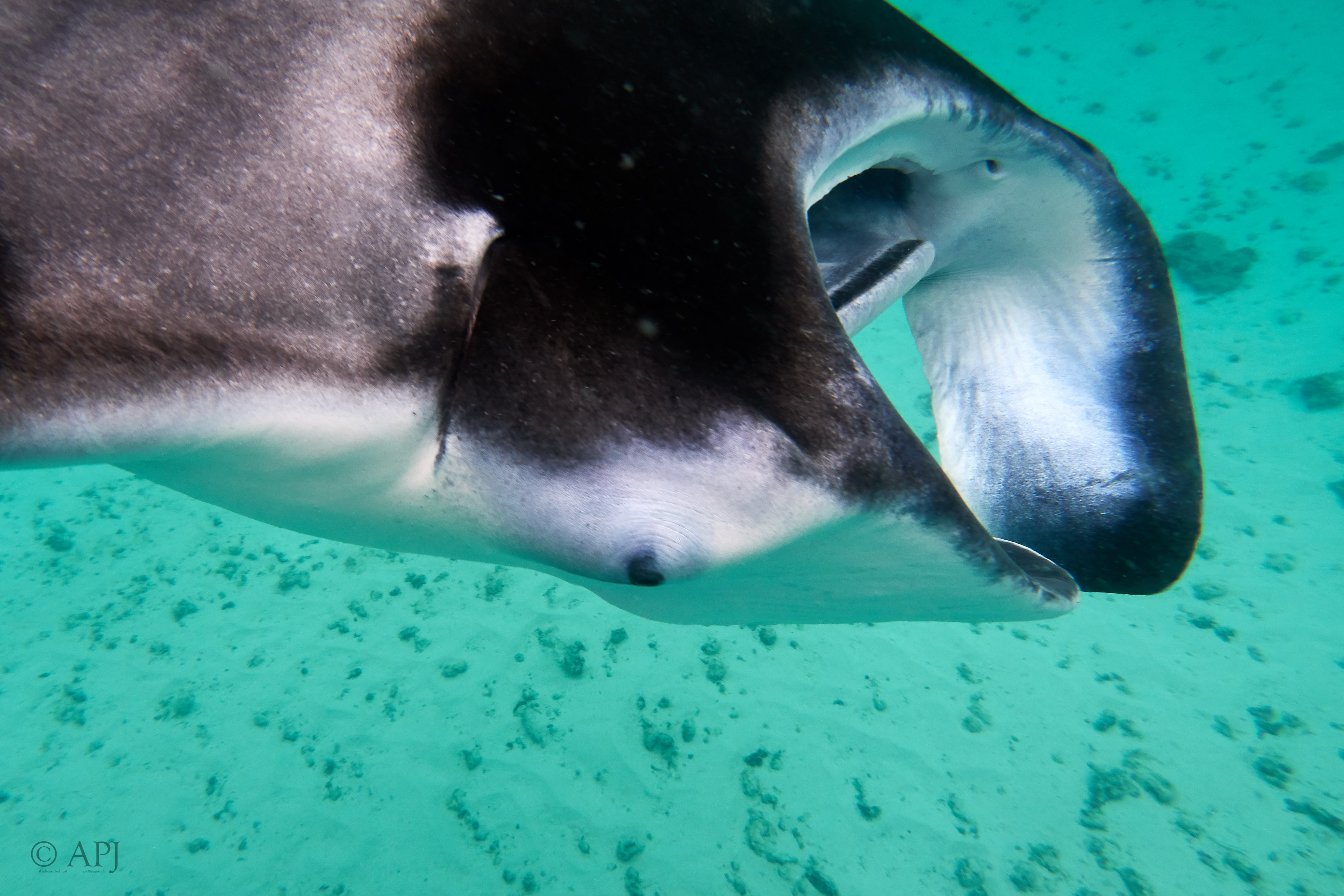 002719 17 08 17  Canon PowerShot G7 X Mark II   Malediven2017